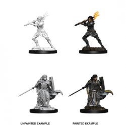 D&D Nolzur's Marvelous Miniatures - Female Human Paladin (6 Units)