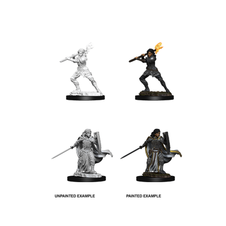 D&D Nolzur's Marvelous Miniatures - Female Human Paladin (6 Units)