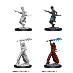 D&D Nolzur's Marvelous Miniatures - Female Human Rogue (6 Units)