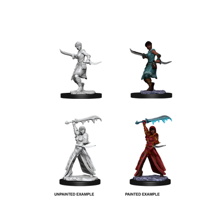 D&D Nolzur's Marvelous Miniatures - Female Human Rogue (6 Units)