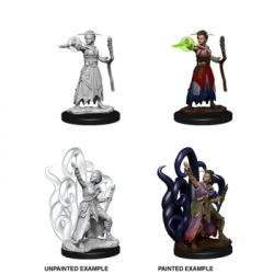 D&D Nolzur's Marvelous Miniatures - Female Human Warlock (6 Units)