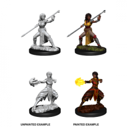 D&D Nolzur's Marvelous Miniatures - Female Half-Elf Monk (6 Units)
