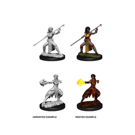 D&D Nolzur's Marvelous Miniatures - Female Half-Elf Monk (6 Units)