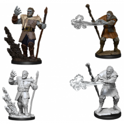 D&D Nolzur's Marvelous Miniatures - Male Firbolg Druid (6 Units)