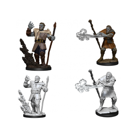 D&D Nolzur's Marvelous Miniatures - Male Firbolg Druid (6 Units)
