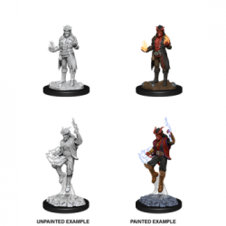 D&D Nolzur's Marvelous Miniatures - Male Tiefling Sorcerer (6 Units)