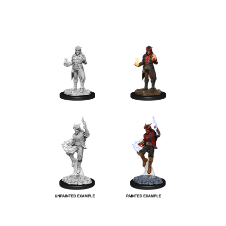 D&D Nolzur's Marvelous Miniatures - Male Tiefling Sorcerer (6 Units)