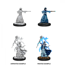 D&D Nolzur's Marvelous Miniatures - Female Elf Wizard (6 Units)