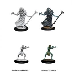 D&D Nolzur's Marvelous Miniatures - Sea Hag & Bheur Hag (6 Units)