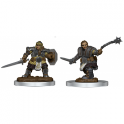 D&D Nolzur's Marvelous Miniatures: Dwarf Fighter Female (2 Units)