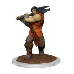 D&D Nolzur's Marvelous Miniatures: Ogre Female (2 Units)