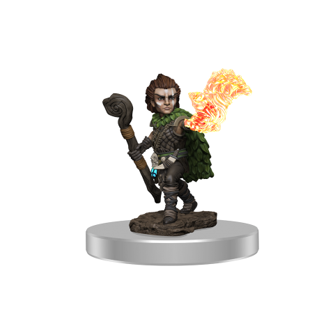 Pathfinder Painted Premium: Male Gnome Druid (6 Units)