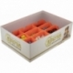 Feldherr organizer for Caverna: The Cave Builders - board game box