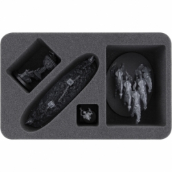 HSMFBJ075BO Feldherr foam tray for Flesh-eater Courts - Endless Spells