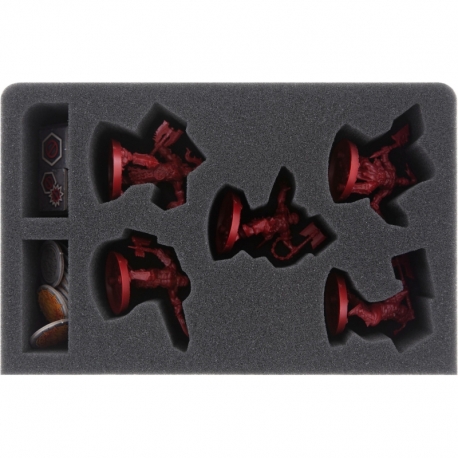 CQMELD050BO Feldherr GWA-Size foam tray for Shadespire - Khorne Bloodbound