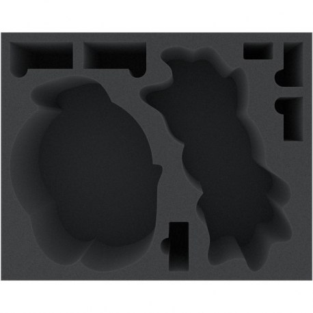 FSMEIY115BO foam tray for Dark Souls: Black Dragon Kalameet + Old Iron King