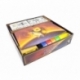 Boardgame Organizer for Roll for the Galaxy and expansion Ambition
