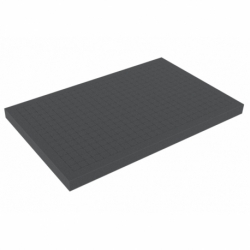 DS030R 30 mm Figure Foam Tray double-size Raster