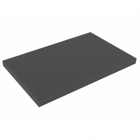 DS030R 30 mm Figure Foam Tray double-size Raster