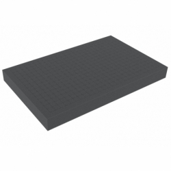 DS050R 50 mm Figure Foam Tray double-size Raster