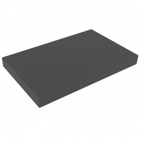 DS050R 50 mm Figure Foam Tray double-size Raster