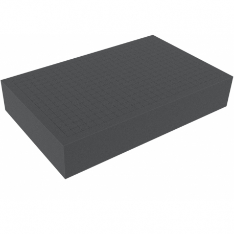 DS100R 100 mm Figure Foam Tray double-size Raster
