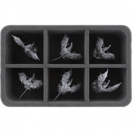 HS075A008 Feldherr foam tray for Tyranids - 6 compartments
