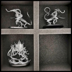 FS080A002 foam tray for Hedonites of Slaanesh - 6 compartments