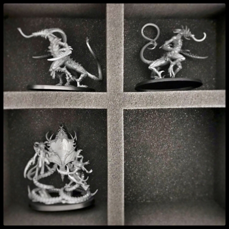 FS080A002 foam tray for Hedonites of Slaanesh - 6 compartments
