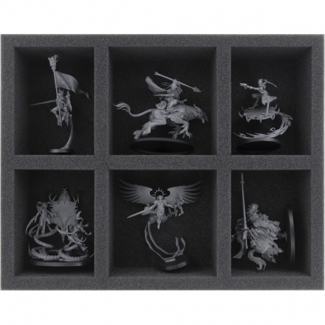 FS060A010 Feldherr foam tray for Adepta Sororitas - 6 compartments