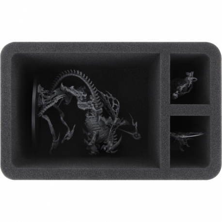 HS120A003 Feldherr foam tray for Arkhan the Black