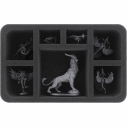 HS070A007 foam tray for Warcry - 7 compartments