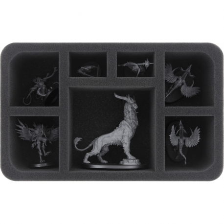 HS070A007 foam tray for Warcry - 7 compartments