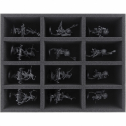 FS070A006 foam tray for Disciples of Tzeentch - 12 compartments