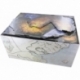 Feldherr Organizer + foam insert for Gloomhaven - board game box