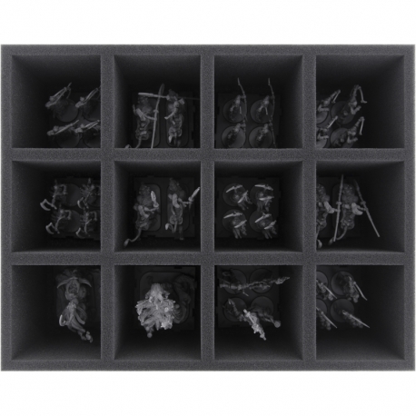FS100A003 Feldherr foam tray for Runewars Miniatures Game - 12 compartments