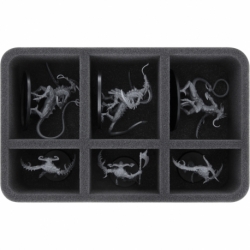 HS070A020 Bandeja de espuma Feldherr para Hedonitas de Slaanesh - 6 compartimentos