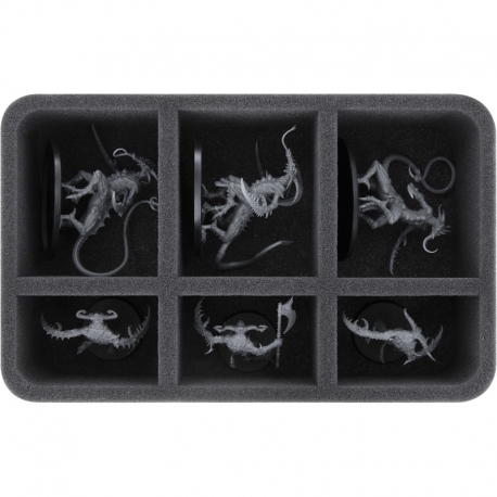 HS070A020 Feldherr foam tray for Hedonites of Slaanesh - 6 compartments