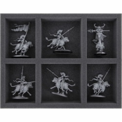 FS050A037 Feldherr foam tray for Lumineth Realm Lords - 6 compartments