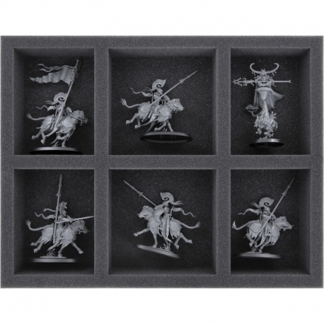 FS050A037 Feldherr foam tray for Lumineth Realm Lords - 6 compartments