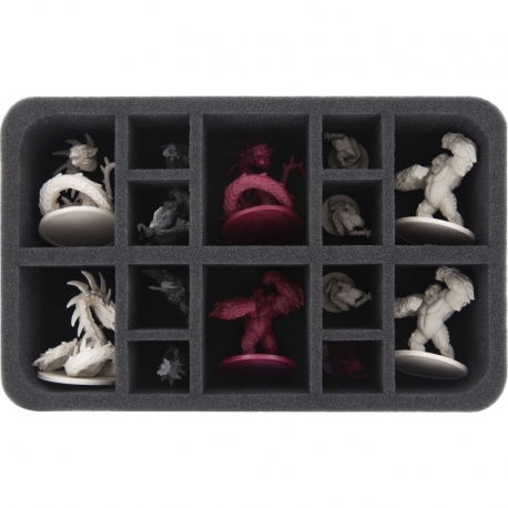 HS065DC16 foam tray for Descent: Journeys in the Dark 2nd Edition - Stewards of the Secret