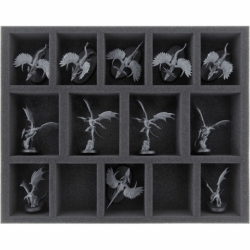 FS050A017 Feldherr foam tray for Warcry: Chaotic Beasts