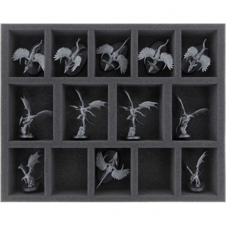 FS050A017 Feldherr foam tray for Warcry: Chaotic Beasts