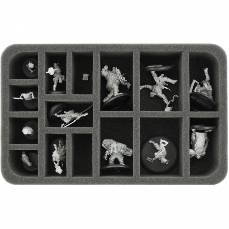 HS050A001 foam tray for Guild Ball - 15 compartments