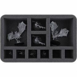HS070A030 Feldherr foam tray for Soulblight Gravelords - 10 compartments