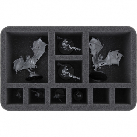 HS070A030 Feldherr foam tray for Soulblight Gravelords - 10 compartments