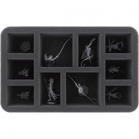 HS060A016 Feldherr foam tray for Warcry: Splintered Fang