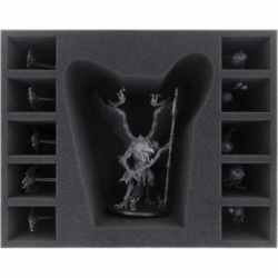 FSMEUS140BO Feldherr foam tray for Lord of Change / Kairos Fateweaver