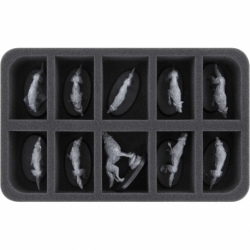 HS050A077 Feldherr foam tray for Soulblight Gravelords - 10 compartments