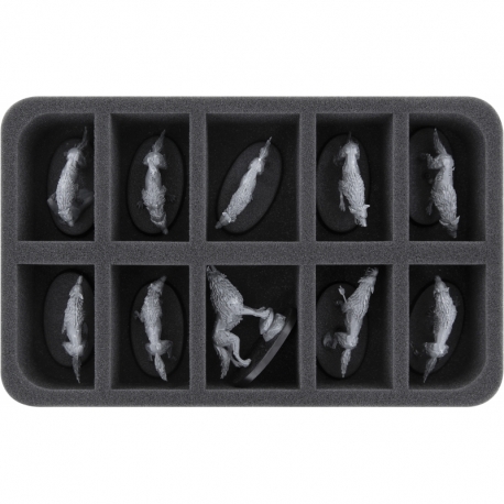 HS050A077 Feldherr foam tray for Soulblight Gravelords - 10 compartments